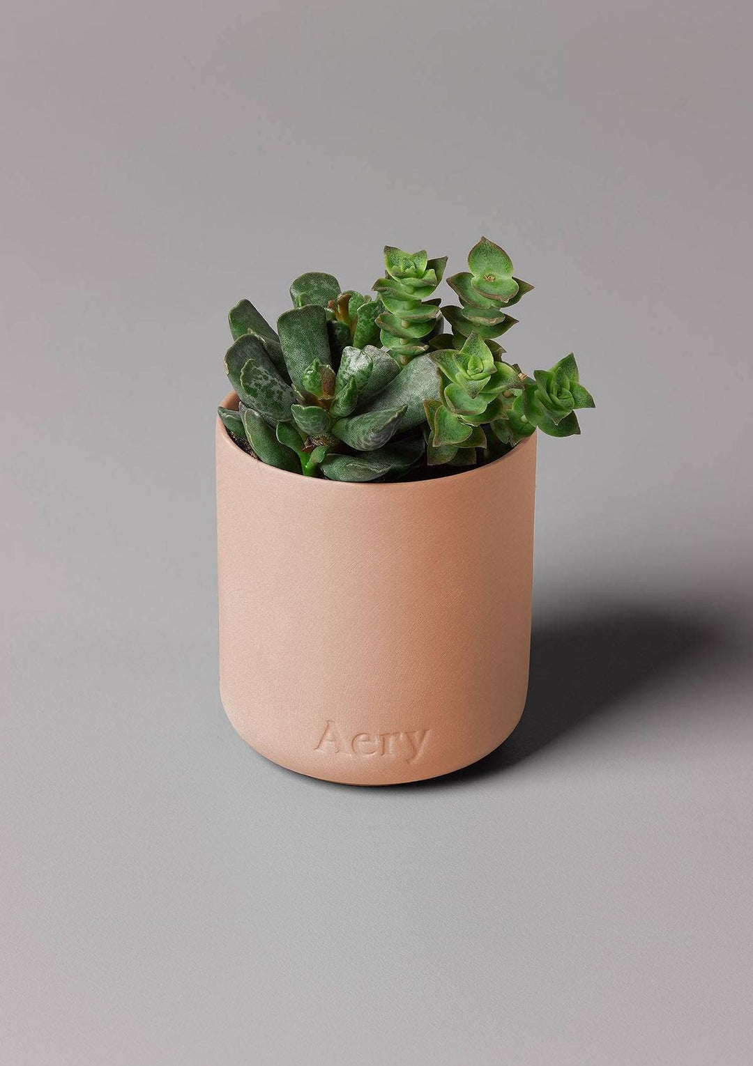Aztec Tuberose Scented Candle