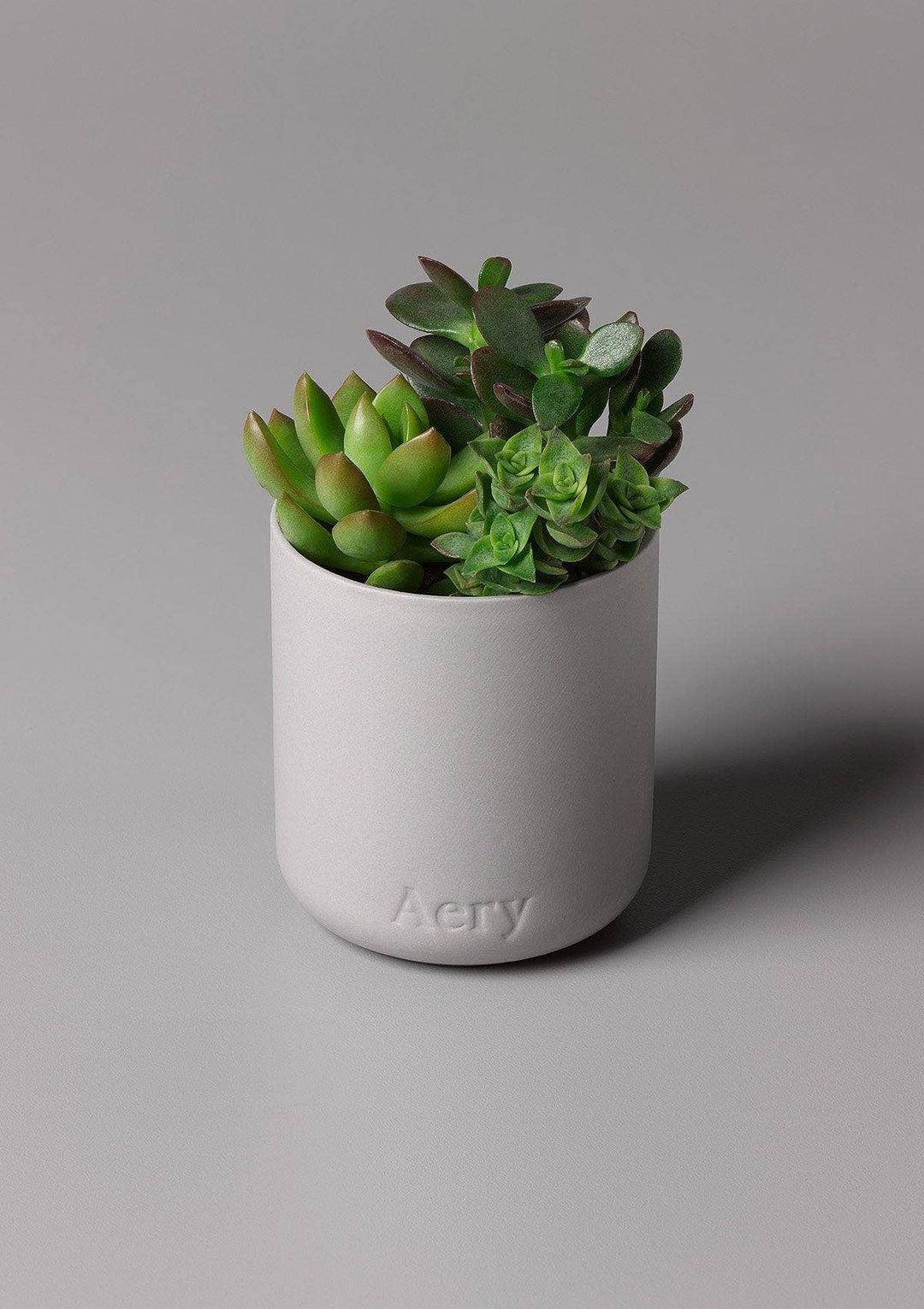 Persian Thyme Scented Candle